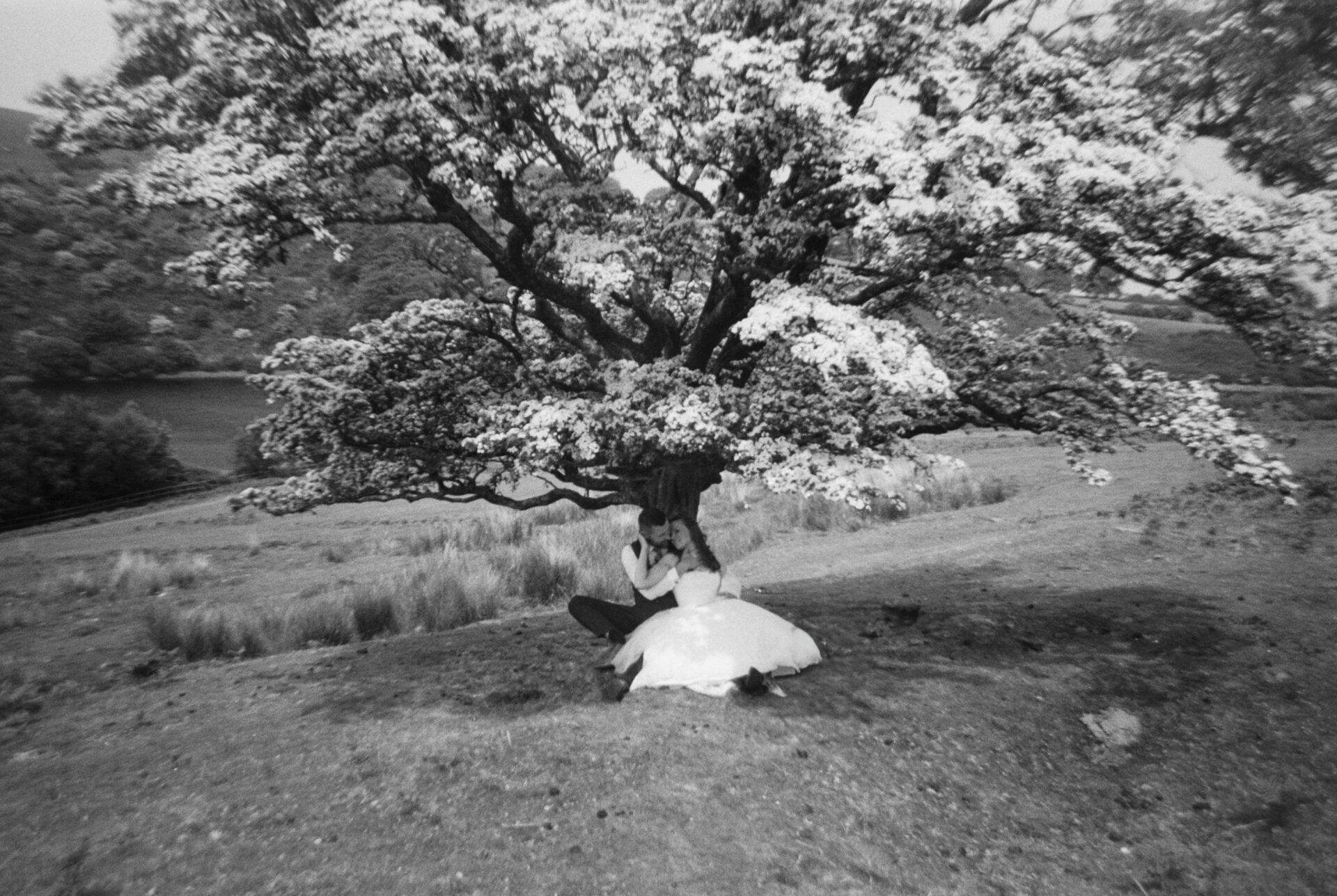 A black and white gifbooth photograph of a couple seated under a large tree, with the individual on the right wearing a white dress suggestive of wedding attire.